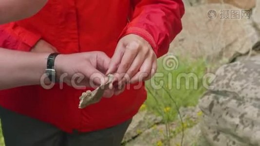 在高加索山脉的古代埋葬地发现的考古学家手中的遗骸近距离观察视频