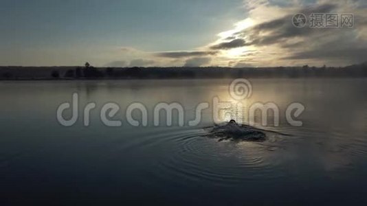 日落时分，壮汉在一个美丽的湖里游泳视频