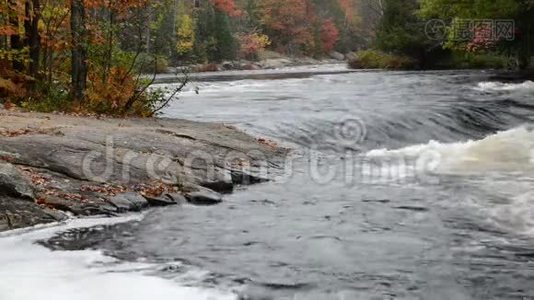 奥克斯通古河的小急流和五彩缤纷的秋林视频