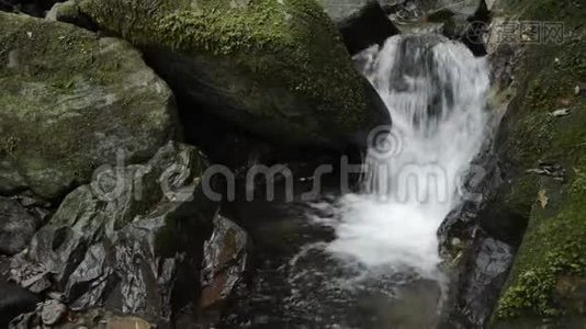 飘落的白色狭窄的小溪视频