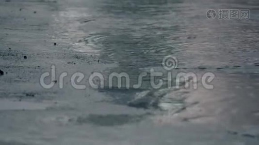 4K确定雨水落在路面上。视频