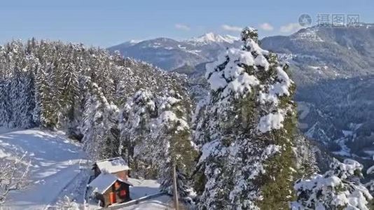 冬季全景树雪景空中4k视频