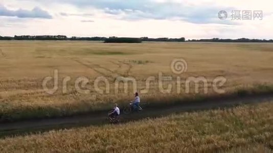 女孩和一个男人骑自行车沿着麦田。 和家人一起骑自行车旅行。 从高处看美丽的风景视频