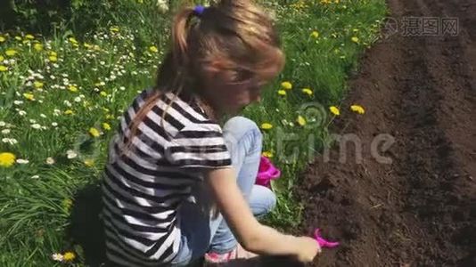 小女孩在花园里玩土视频