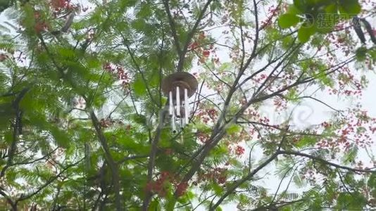 风铃挂在花园里的树上。 树枝上的风水风铃。 风水符号概念..视频