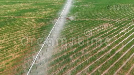 工业农业4K航空视野。 夏季用农作物灌溉圆田视频