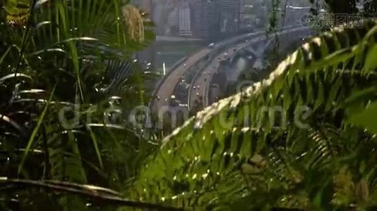 台北市森林交通车4K鸟瞰公路桥视频