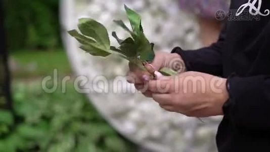 布置人工花卉装饰.. 年轻女子花艺制作组织DIY人造花、工艺和视频