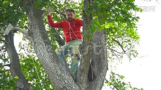 英俊的时尚男人穿着红色的帽衫，穿着破牛仔裤在树上视频