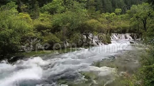 森林里的河流视频视频