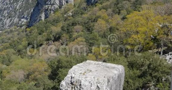 年轻的女旅行者坐在岩石上视频