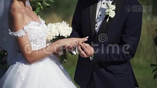 婚礼情侣在夏季的户外仪式上戴上结婚戒指视频