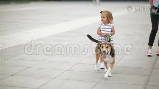 小可爱的女孩带着她的小猎犬走过城市广场，把宠物拴在皮带上。视频