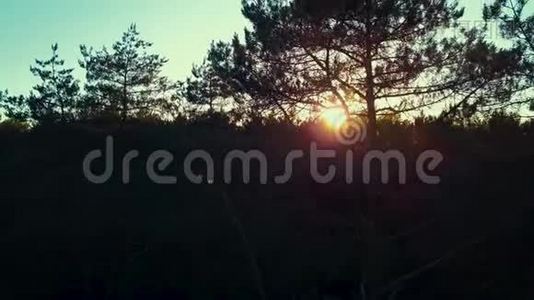 无人机拍摄的夏日森林日落视频