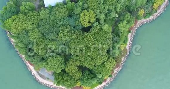 带树木和木制对角线的鸟瞰岛视频