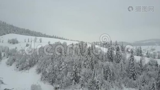 飞越喀尔巴阡山的一个村庄。 鸟`山上白雪覆盖的房子的视野。 乡村景观视频