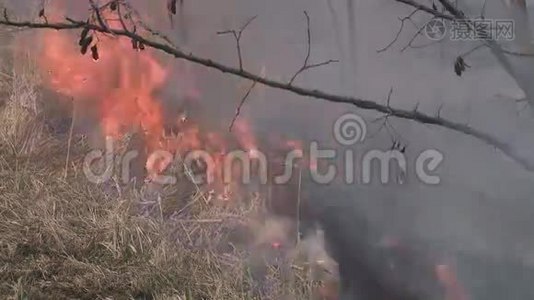森林火灾的危险-烟雾和火灾视频