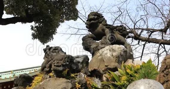 东京坎达神社的雕像守护犬视频