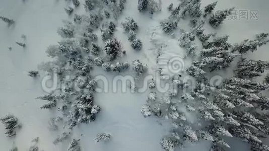 空中观景无人机自由滑雪板乘坐粉末雪视频