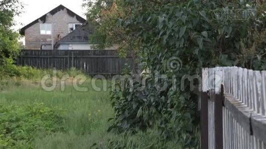 城外的房子视频