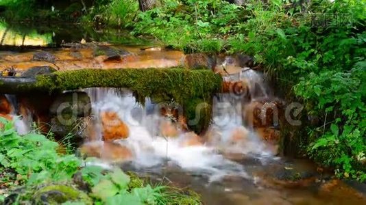 干净的水流过岩石视频