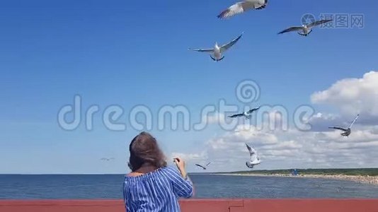 美丽的年轻女子站在码头上喂海鸥，海鸥在海边的飞行中喂海鸥，喂海鸥视频