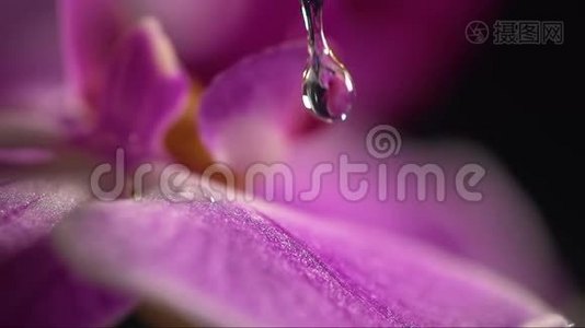 用水滴将紫兰花收起来视频