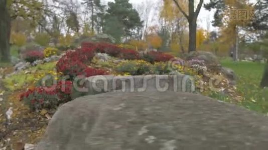公园花卉和石头的景观视频