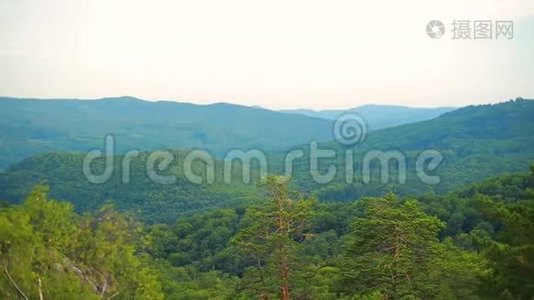 前进到松树林和山谷.. 夏日的太阳耀斑视频