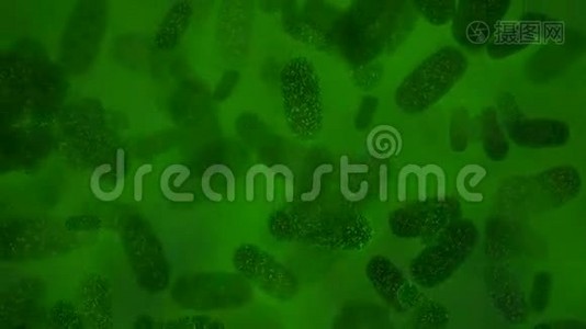 绿色细菌视频