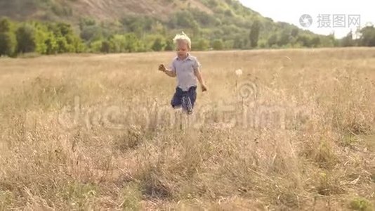 幼儿在田里玩，拔干草..视频