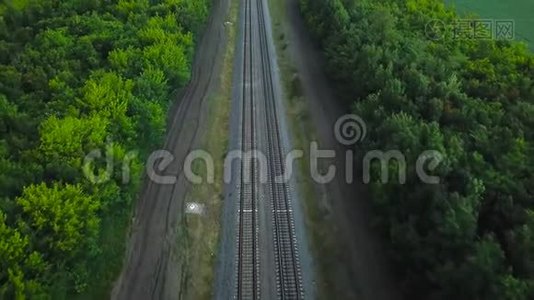 绿色森林环绕的空直双向铁路，鸟瞰图视频