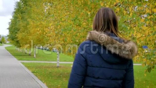 一个年轻的女人沿着城市公园的秋巷散步。 女孩走在秋日的桦树上视频