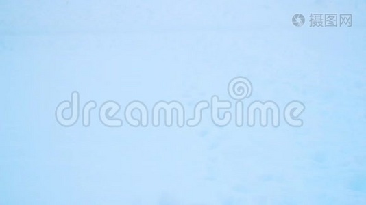 无忧无虑的男孩在雪地里玩耍。 冬天玩雪玩游戏视频