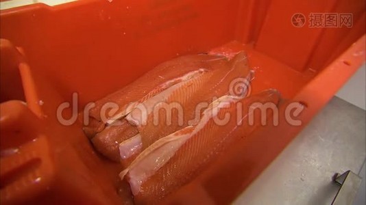 加工鲑鱼肉视频