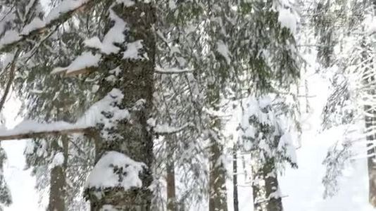 在冬天的时候在山上盘旋视频