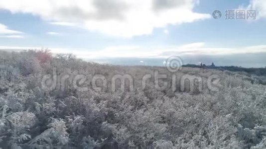 鸟在高处的鸟在明亮、蓝色、多云的天空中飞行的冬季森林的鸟瞰图。 中枪。 美丽美丽视频