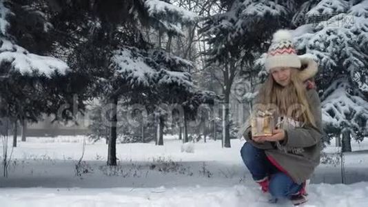 雪上的礼盒视频