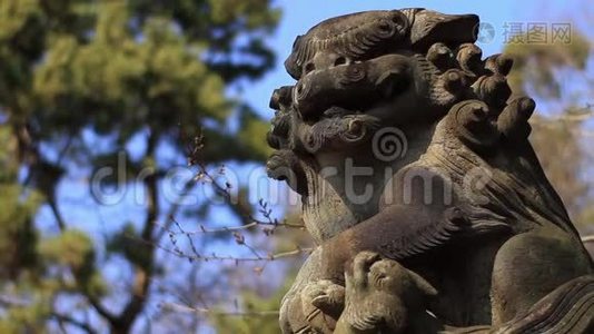 东京神社石像守护犬视频