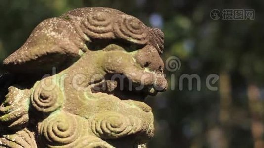 东京神社石像守护犬视频