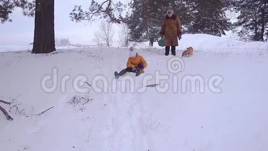 女孩笑着冬天从公园的山上滚来滚去，遛狗，娱乐和家庭，一个快乐的孩子和一只狗在里面。视频