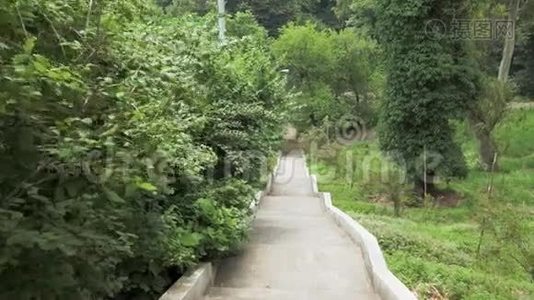 乔治亚州巴统最大的植物园之一的楼梯视频