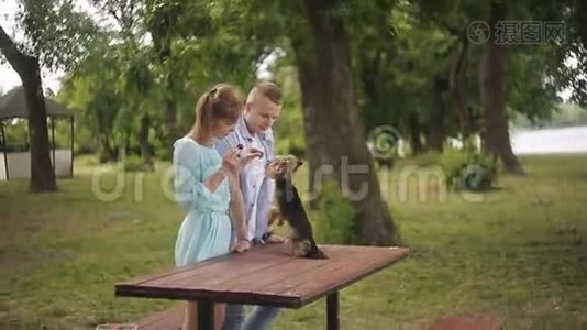 年轻人和漂亮女孩在公园里和他们的宠物玩。 一个女孩给狗喂草莓视频