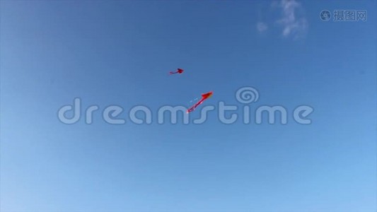 空中的风筝视频