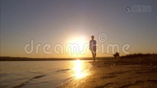 年轻女孩带着狗在美丽的日落背景下沿着海滩散步，慢动作视频