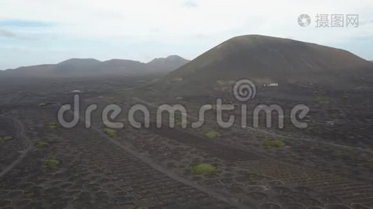 兰萨罗特黑火山土壤上的葡萄园。 在拉吉利亚葡萄酒种植的空中风景视频