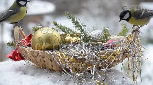 带着种子的鸟放在篮子里过圣诞节视频