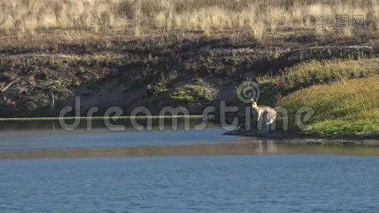 托沃姆巴地区的克雷斯布鲁克湖视频