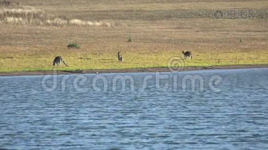 托沃姆巴地区的克雷斯布鲁克湖视频