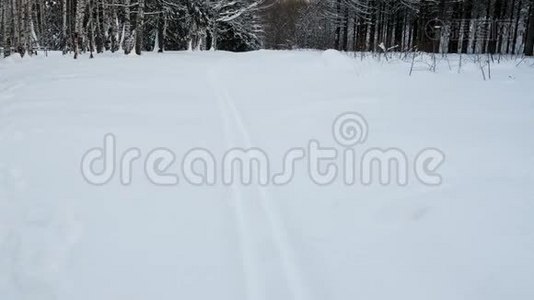 冬季雪覆盖森林的滑雪道。视频